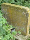 image number Woodhouse Fanny Turner 159b